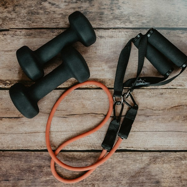 Adjustable SelectTech Dumbbell Pair